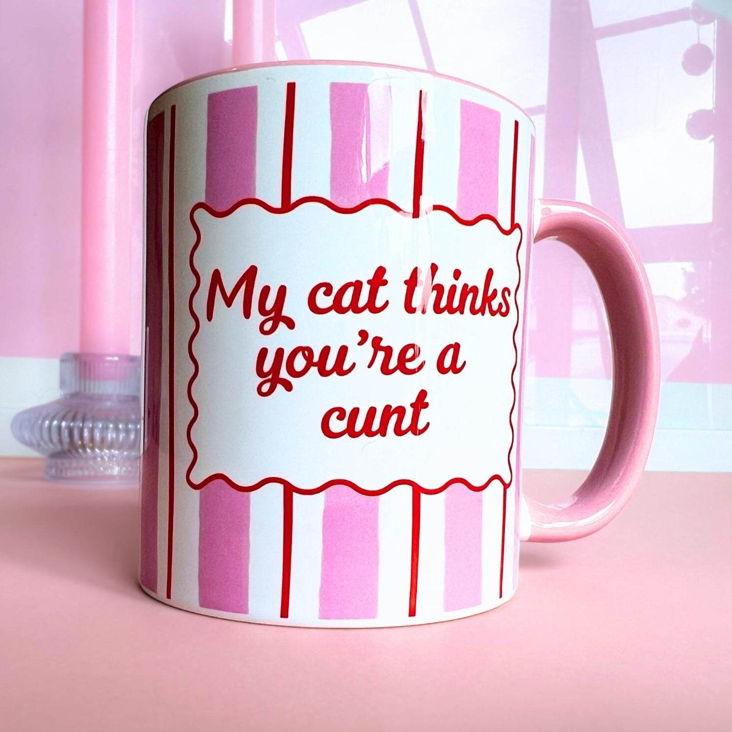 My Cat Thinks You're a Cunt - Ceramic Mug In Gift Box