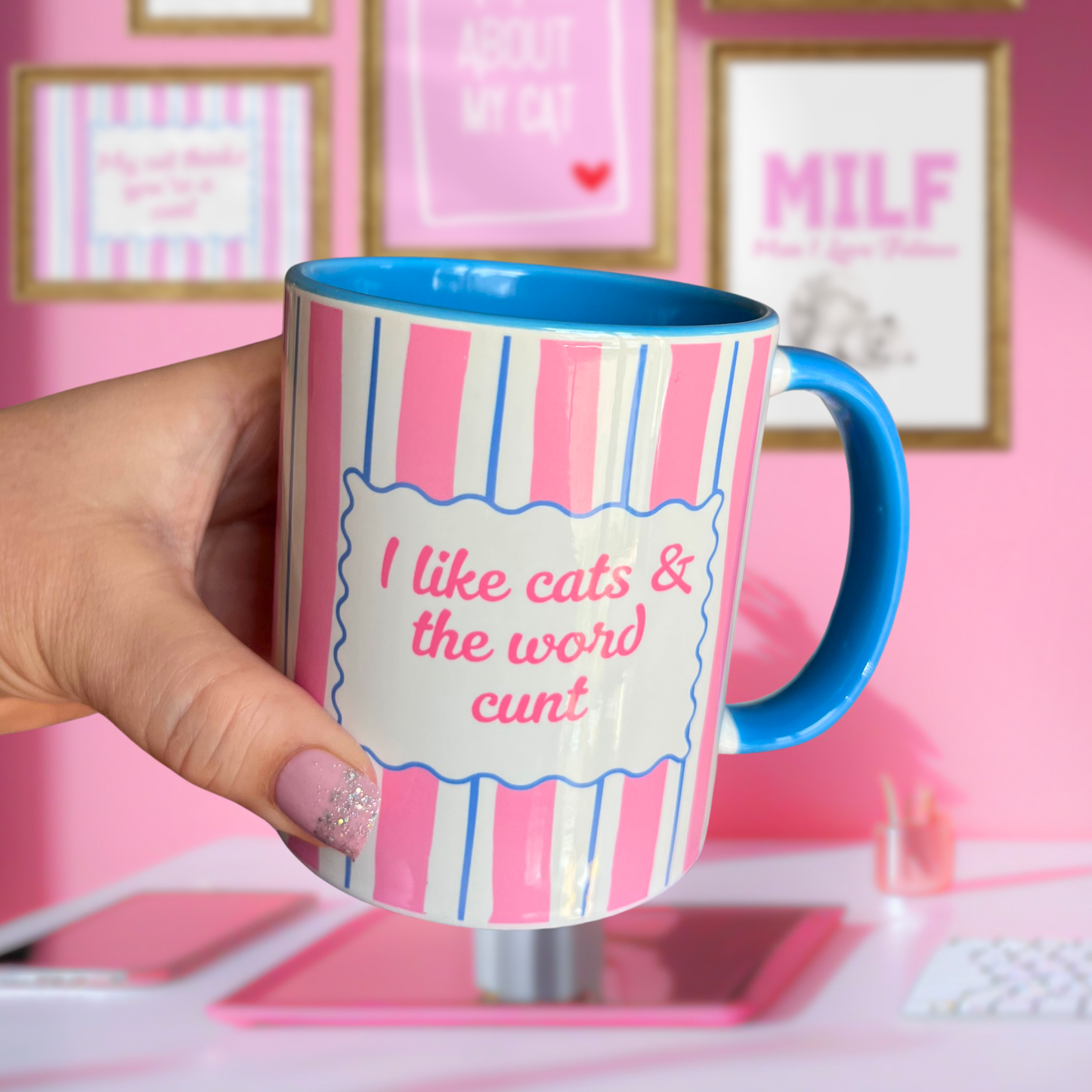 Ceramic Cat Mug - I like cats & the word c*** (Blue+Pink)
