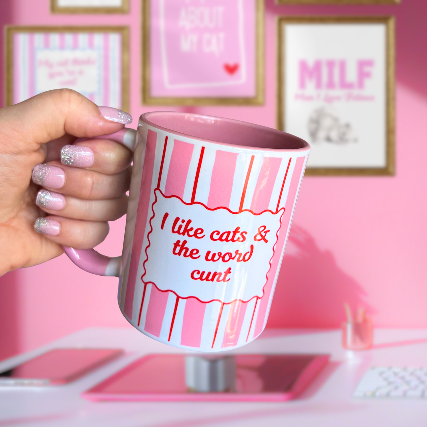 Ceramic Cat Mug - I like cats & the word c***