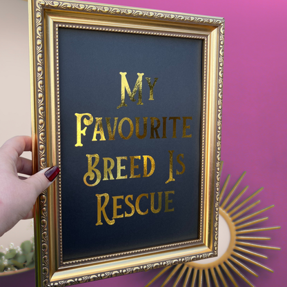 Gold Foil Print - My Favorite Breed is Rescue  - 10% Donated to The Sheffield Cats Shelter  🐈‍⬛