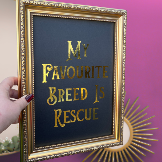 Gold Foil Print - My Favorite Breed is Rescue  - 10% Donated to The Sheffield Cats Shelter  🐈‍⬛