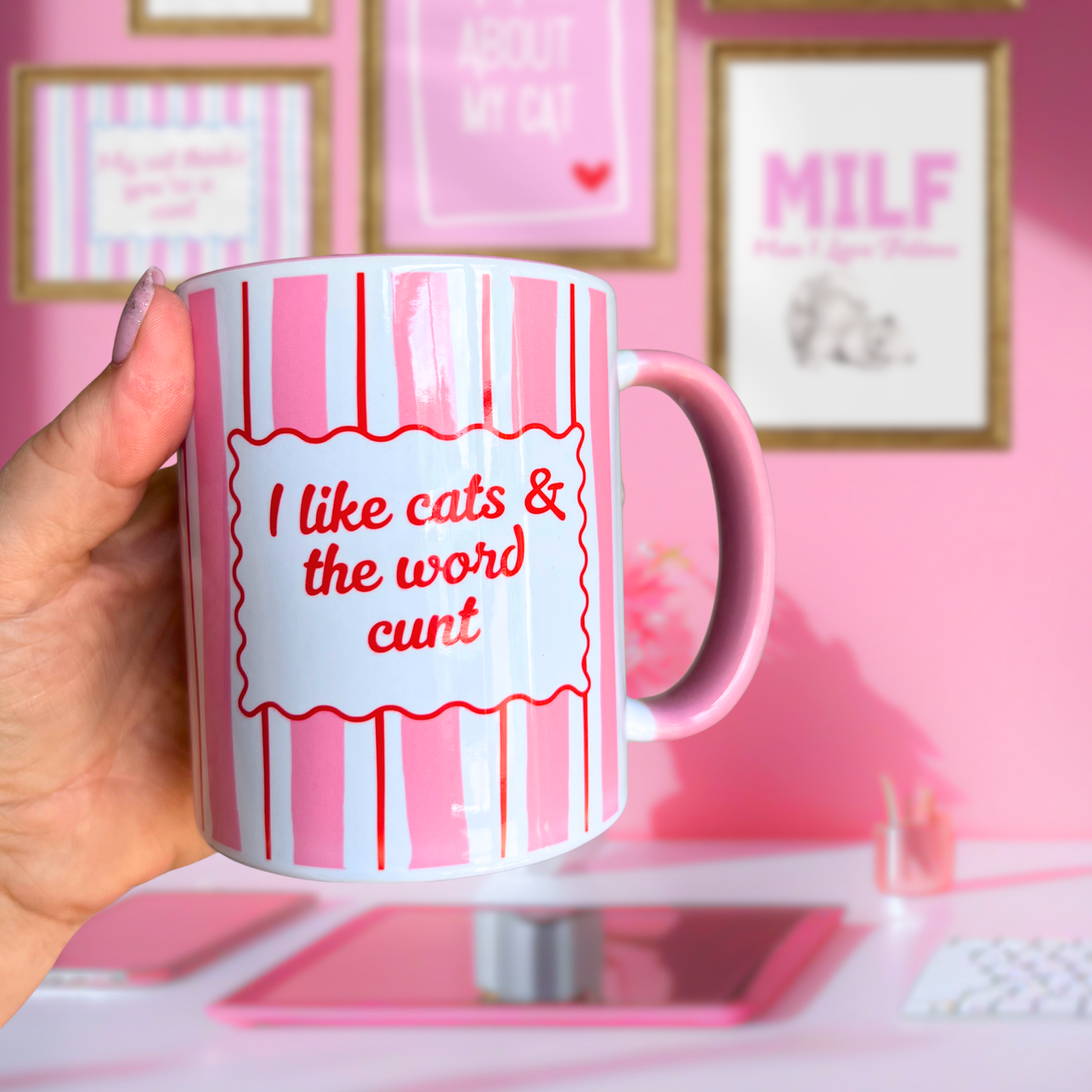 Ceramic Cat Mug - I like cats & the word c***