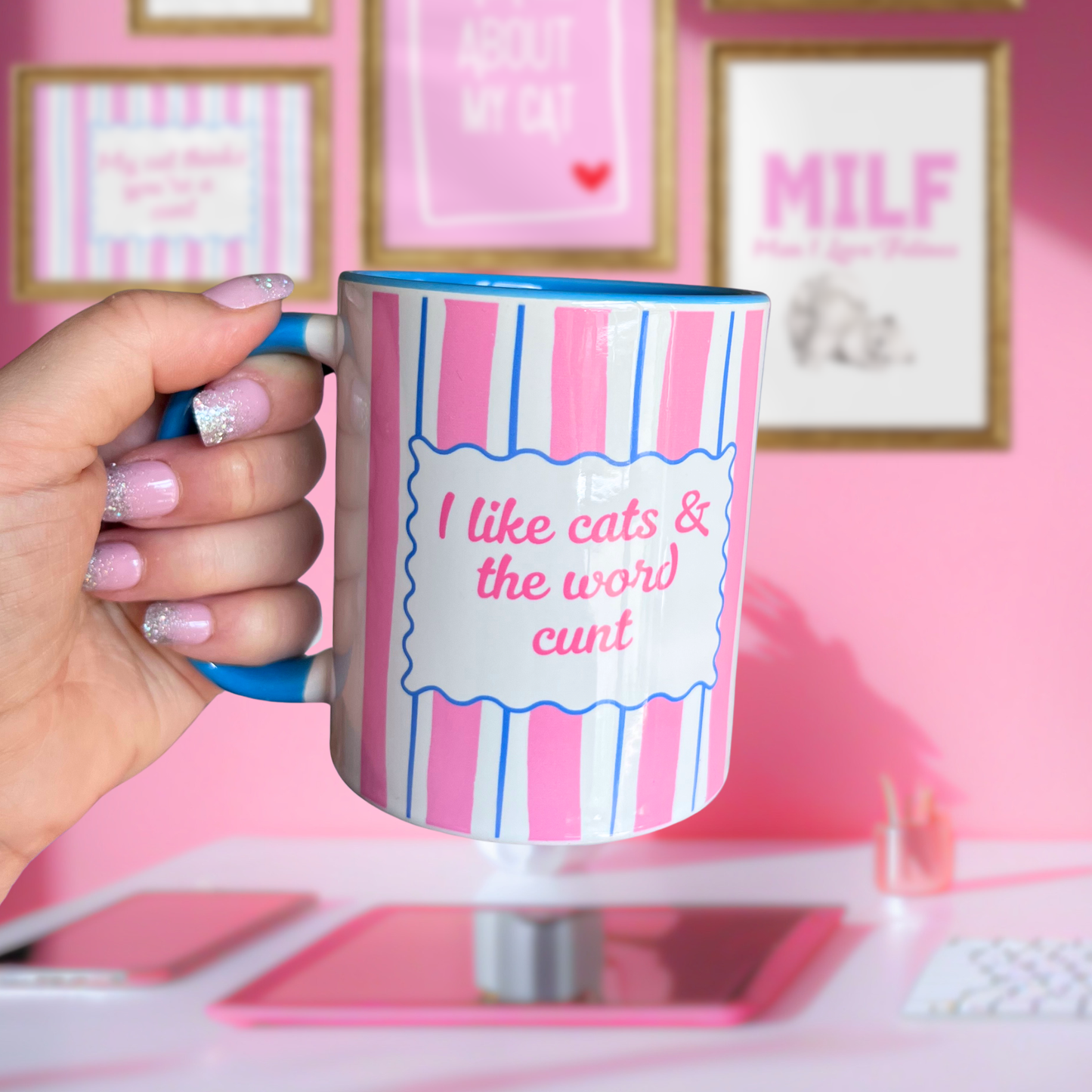 Ceramic Cat Mug - I like cats & the word c*** (Blue+Pink)